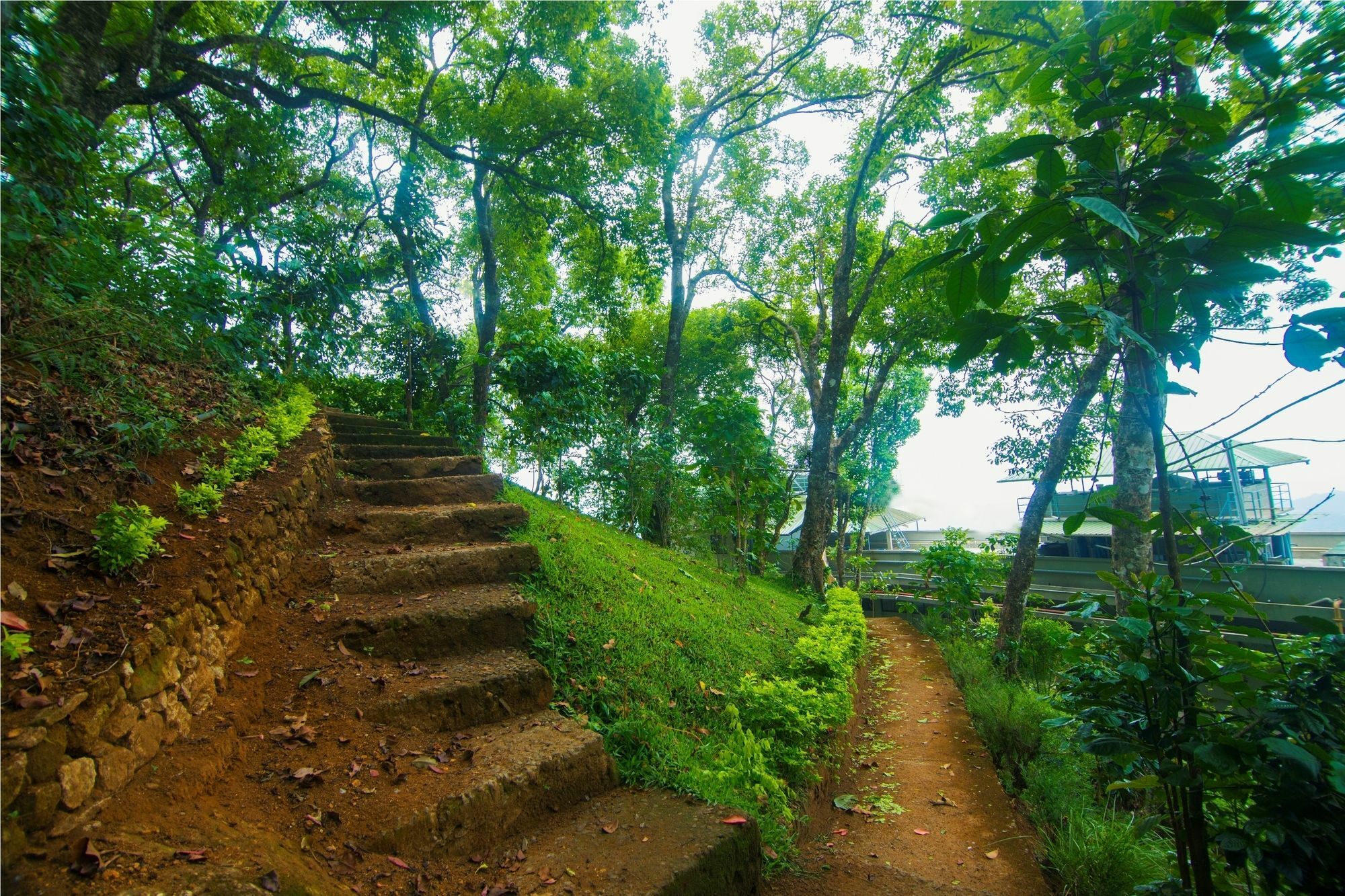 Forest Glade Resorts Chithirapuram Экстерьер фото